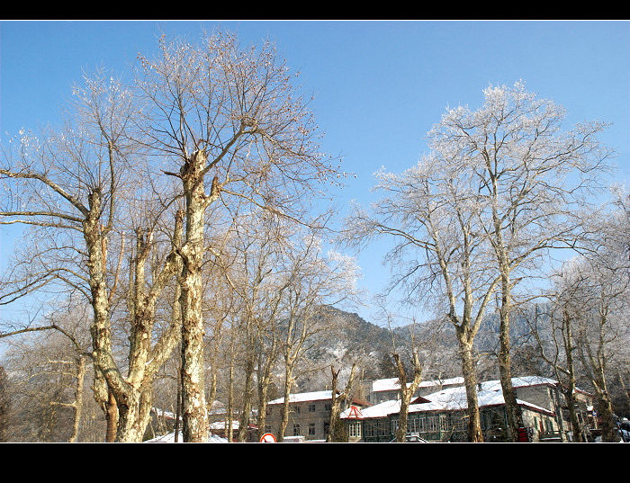 dsc_0157.jpg