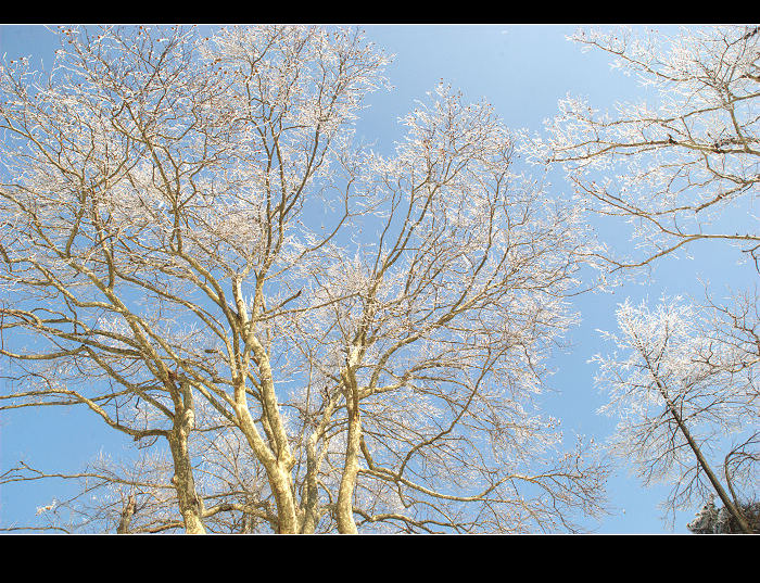 dsc_0147.jpg
