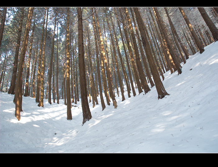 dsc_0168.jpg