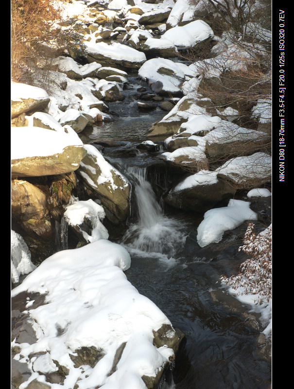 dsc_0169.jpg