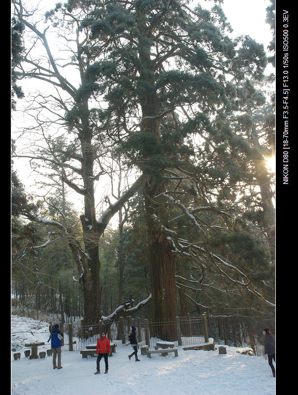dsc_0179.jpg