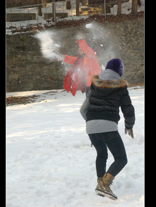 dsc_0178.jpg