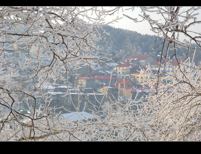 dsc_0187.jpg