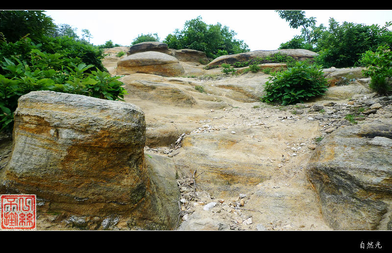 l1110713.jpg