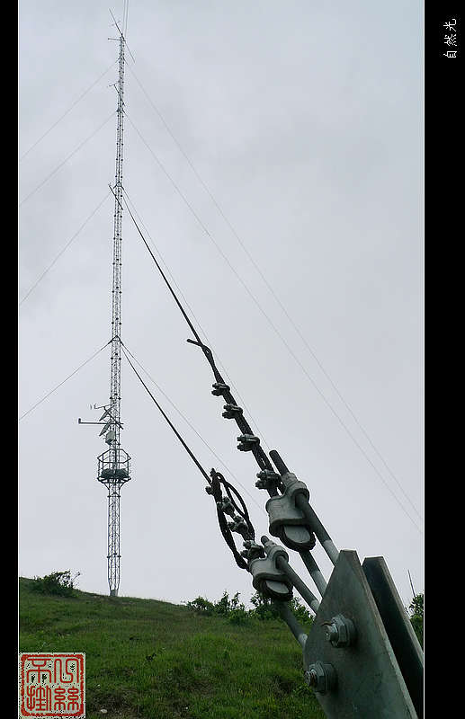 l1110718.jpg