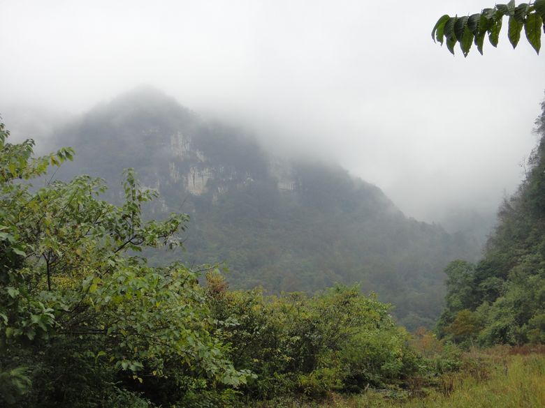 dsc03037.jpg