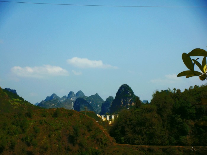 neo_img_dsc00479.jpg