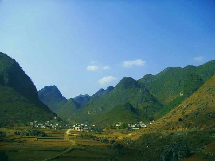 neo_img_dsc00509.jpg