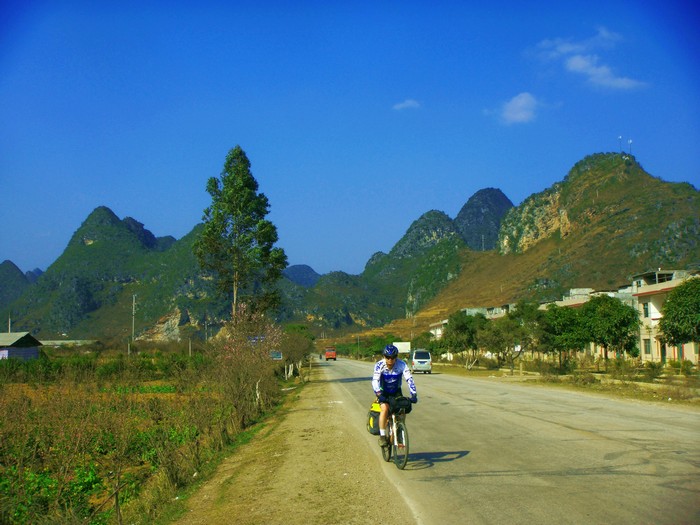neo_img_dsc00515.jpg