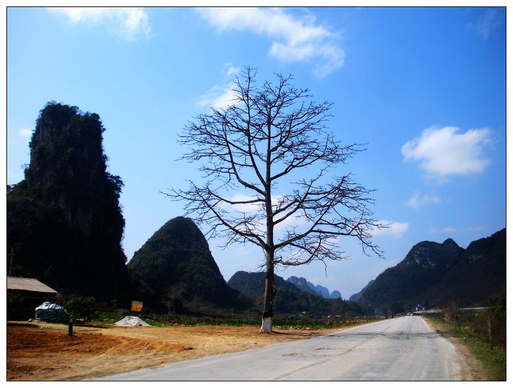 dscn3366.jpg