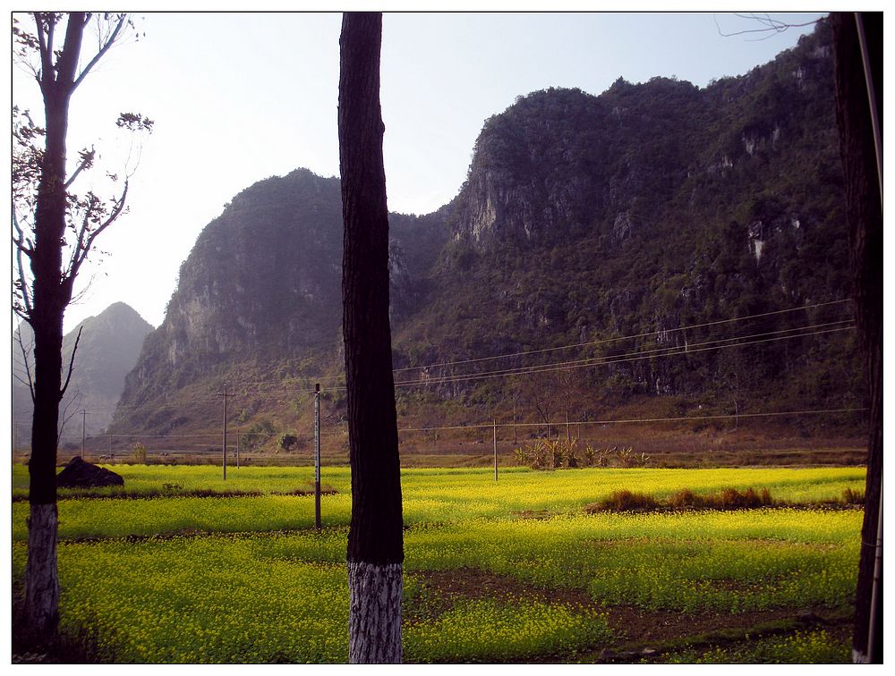 dscn3392.jpg