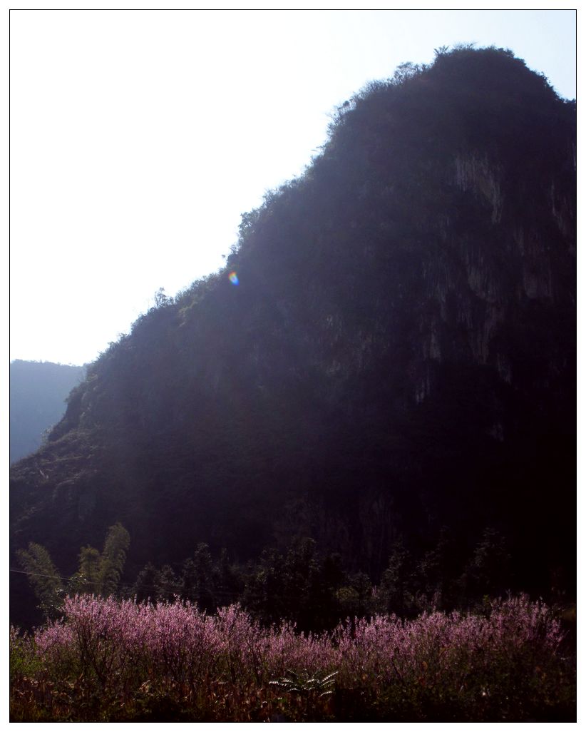 dscn3386.jpg