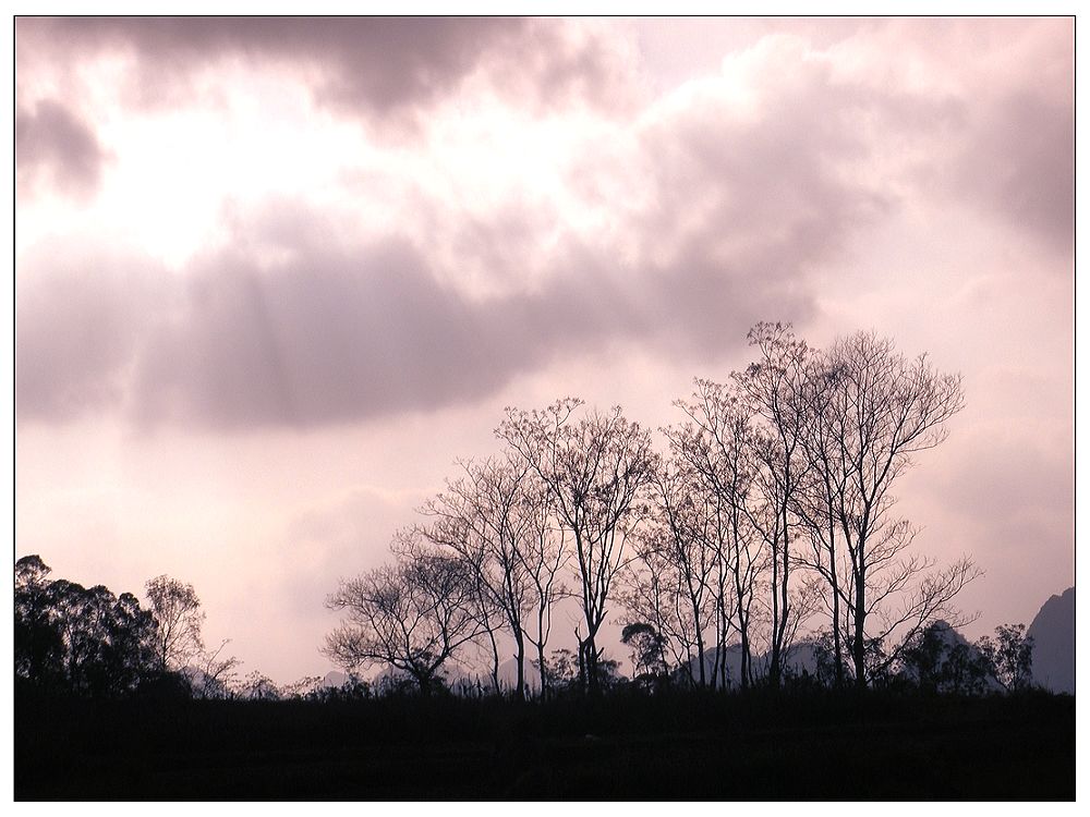 dscn3415.jpg