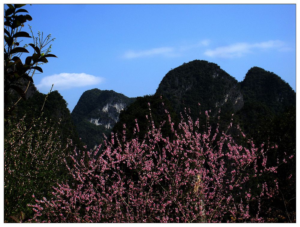 dscn3506.jpg