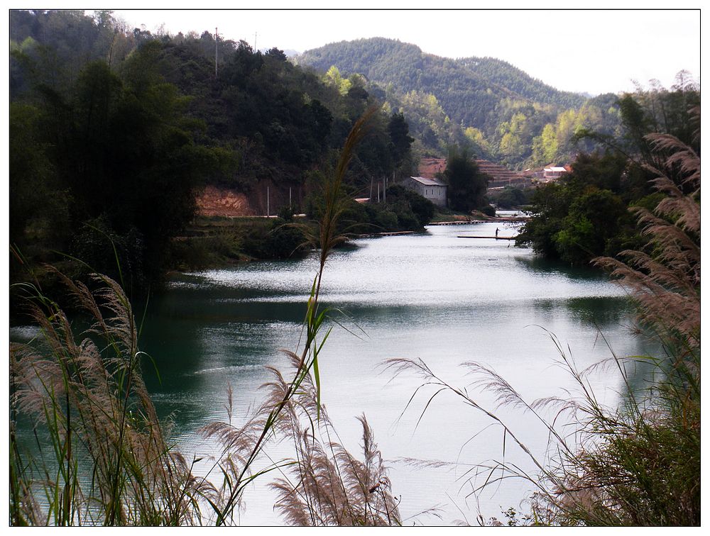 dscn3522.jpg
