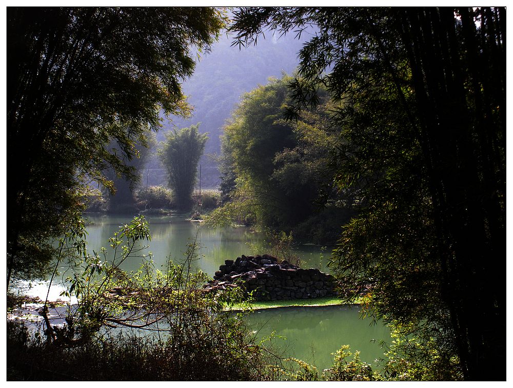 dscn3596.jpg