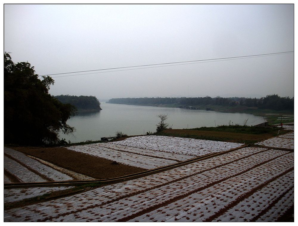 dscn3617.jpg