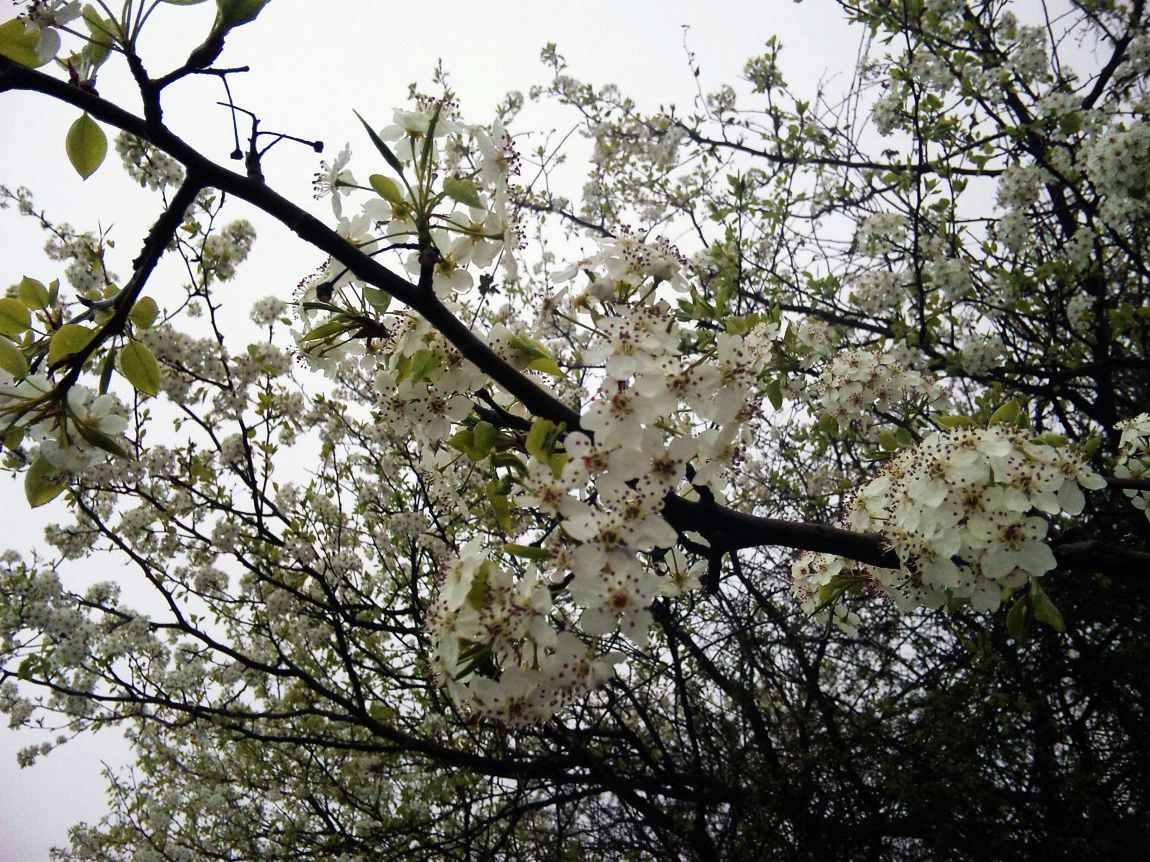 neo_img_dvc00018.jpg