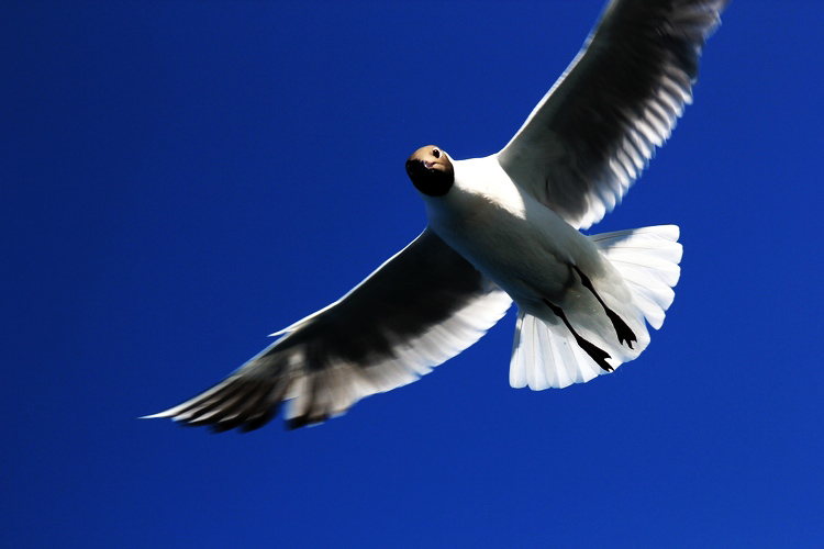 neo_img_img_1469.jpg