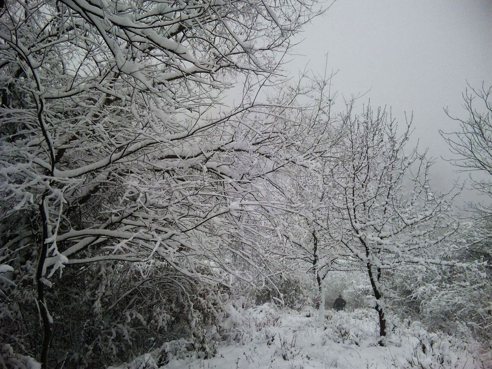neo_img_dvc00074.jpg