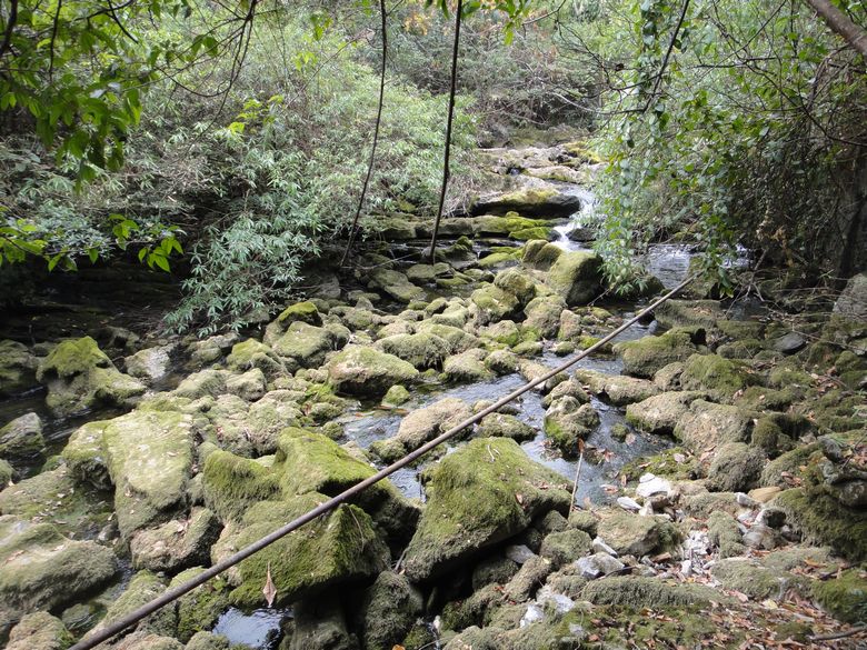 dsc02847.jpg