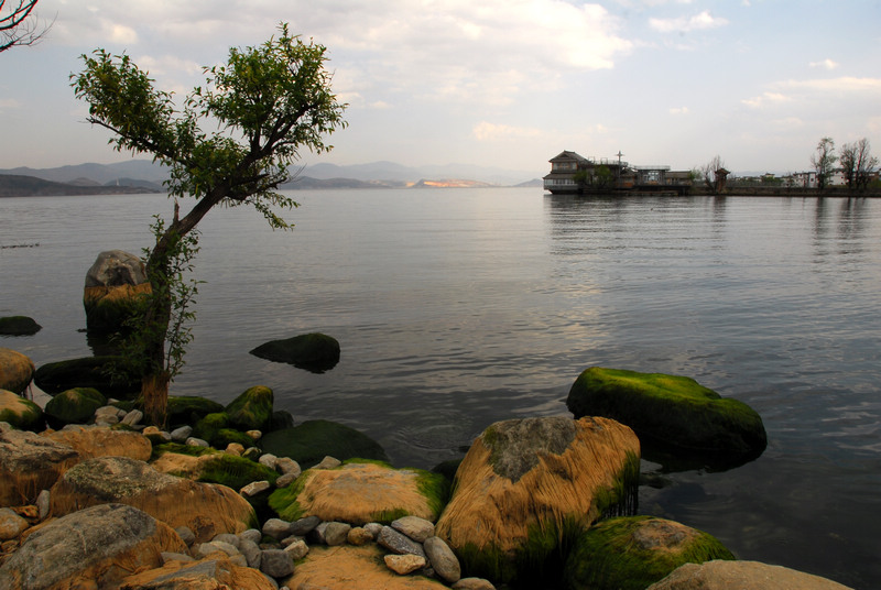 dsc_0604.jpg