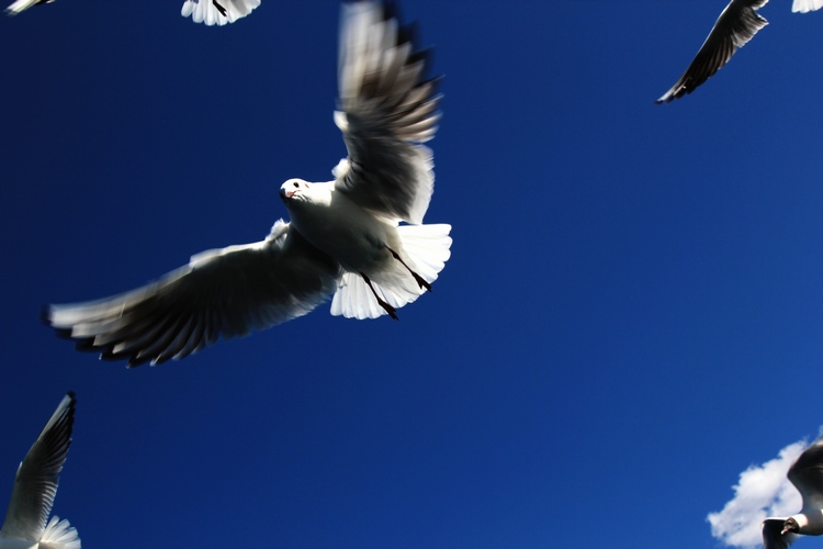 neo_img_img_1491.jpg