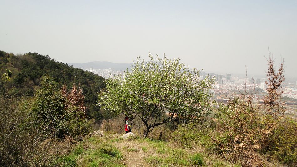 neo_img_dsc02376.jpg