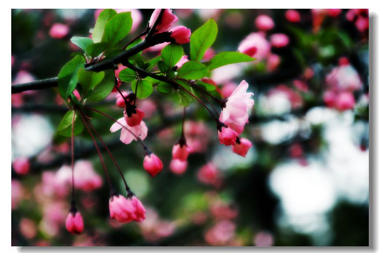Ƭ 059.jpg