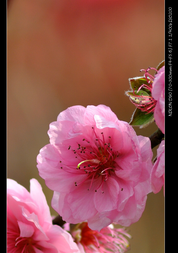 dsc_0352.jpg