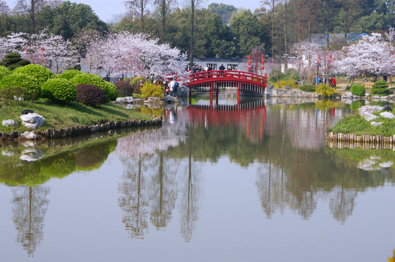 dsc00858.jpg
