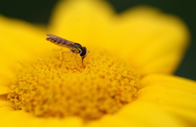 129a230d0b9g215.jpg