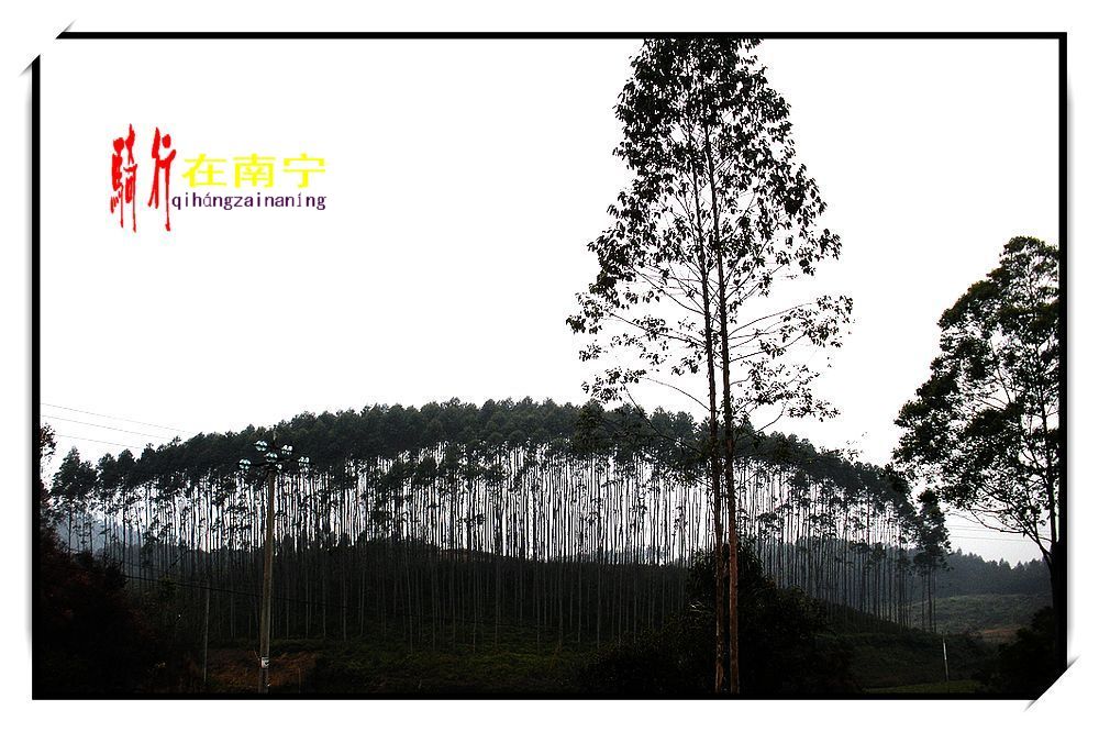dscn2898.jpg