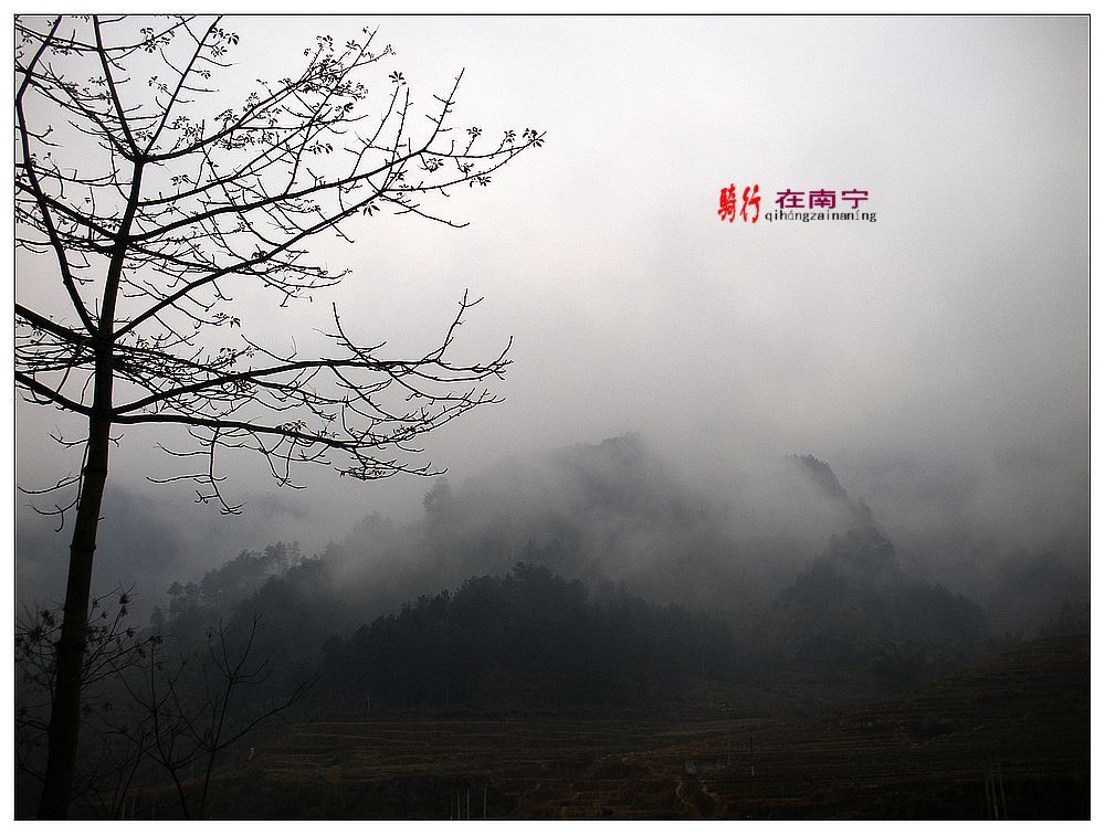dscn2992.jpg