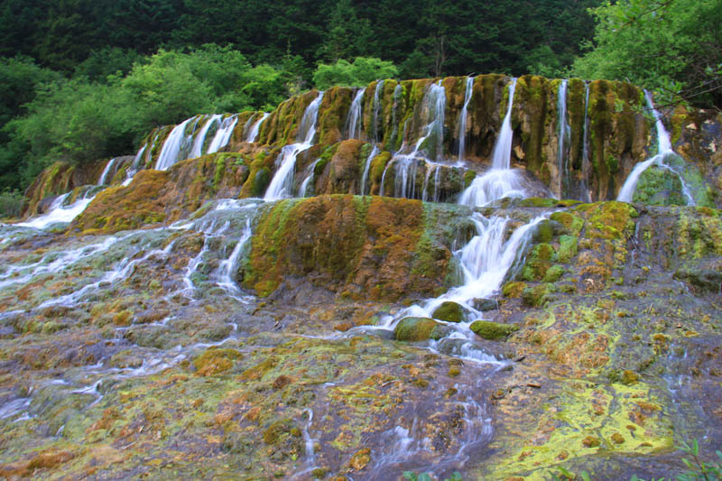 210603n8ls5czzx6n88uns.jpg