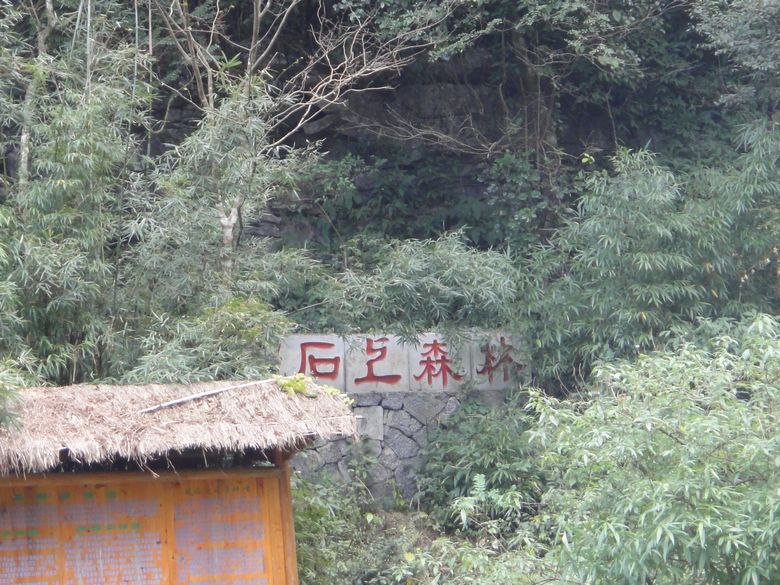 dsc02939.jpg