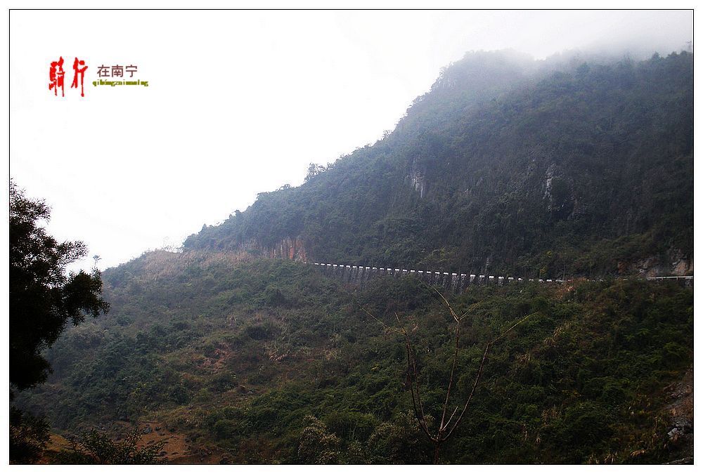 dscn3153.jpg
