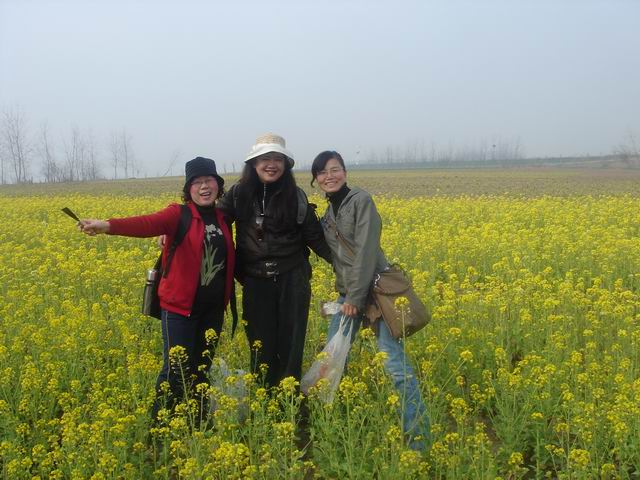 dsc00027.jpg