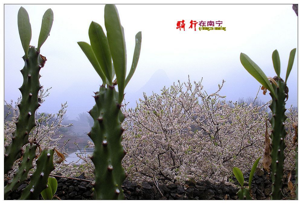 dscn3120.jpg