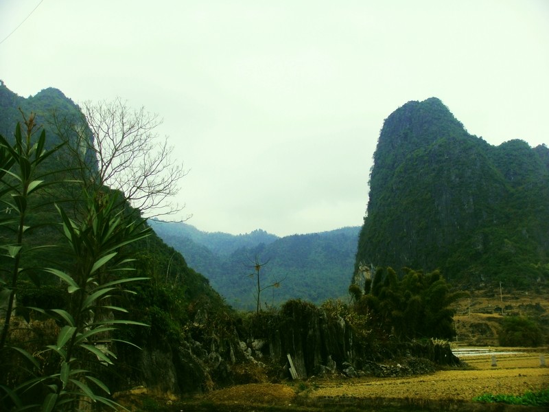 neo_img_dsc00030.jpg