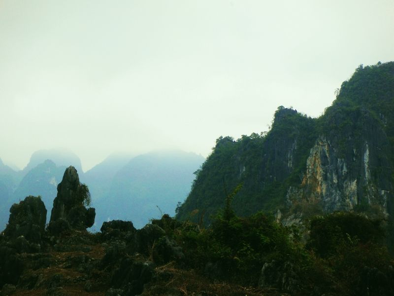 neo_img_dsc00054.jpg