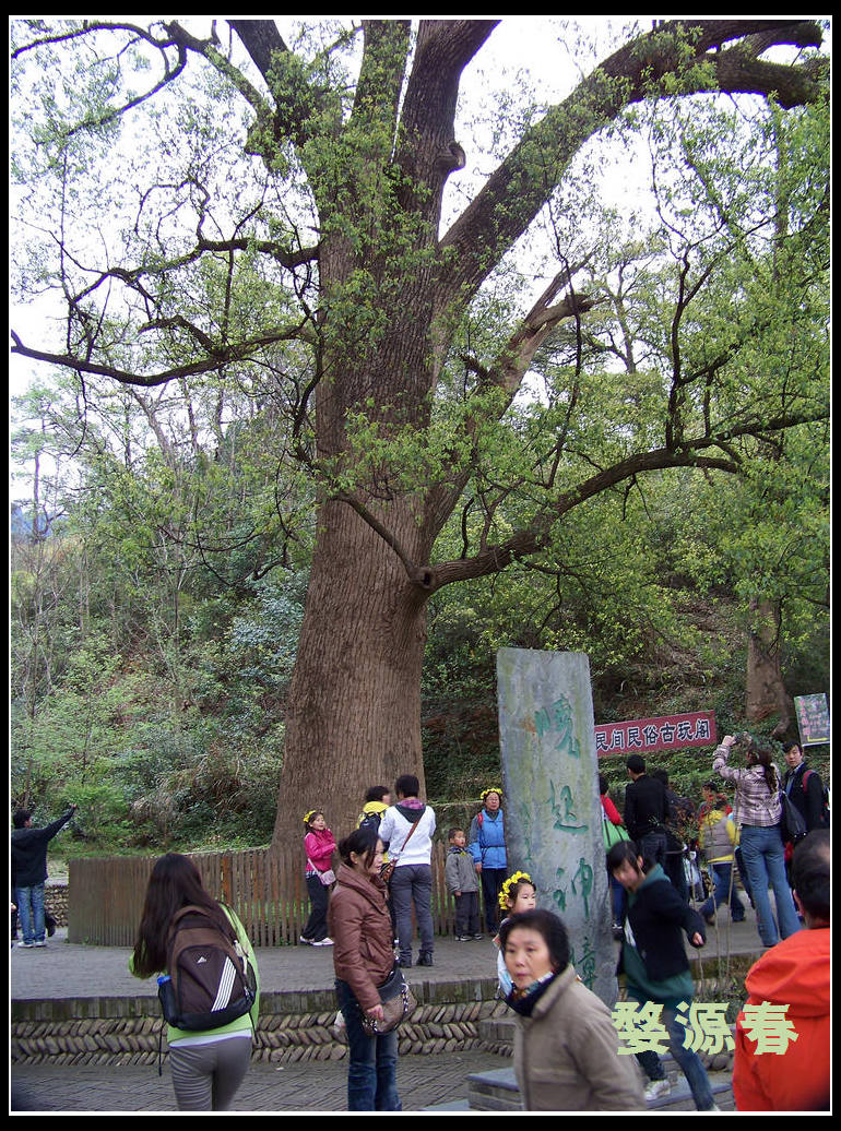 20110403hԴ (23).jpg