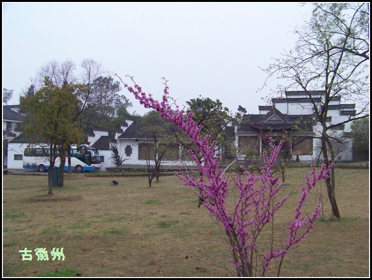 20110404a (14).jpg