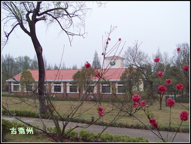 20110404a (12).jpg