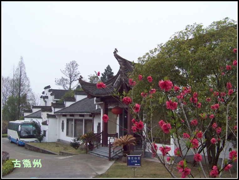 20110404a  (11).jpg