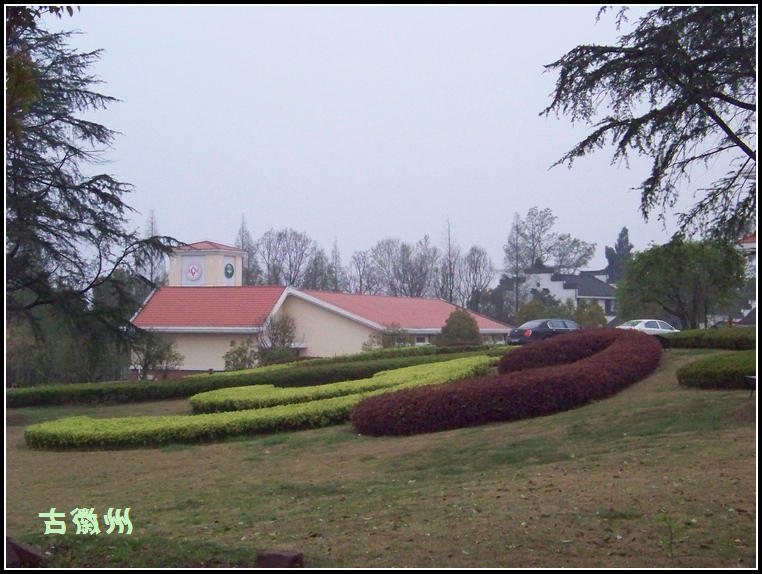 20110404a (15).jpg