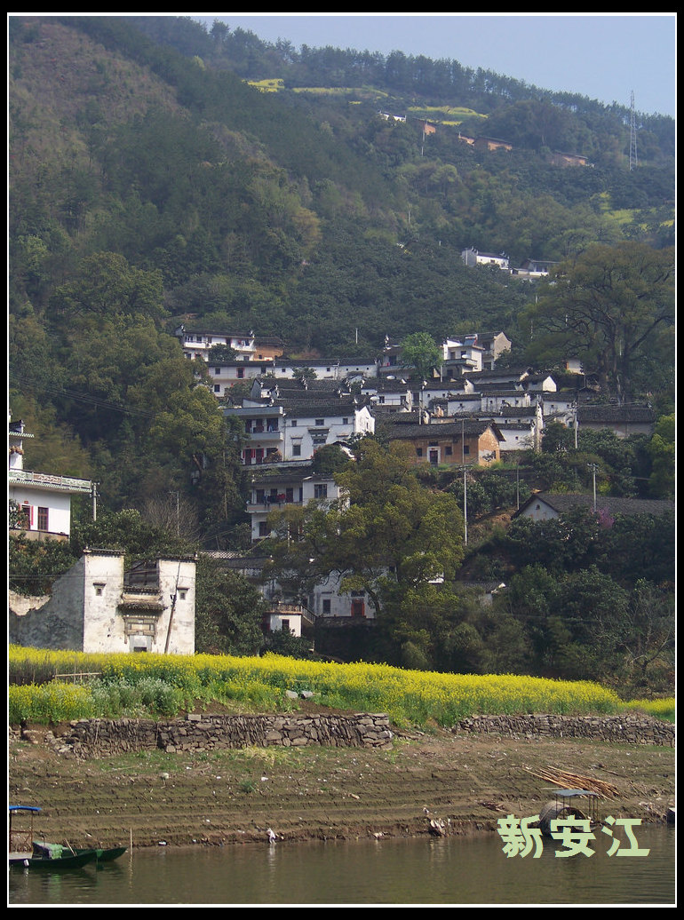 20110404b° (49).jpg