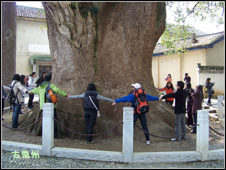 20110404g̶µһ (22).jpg