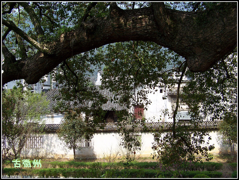 20110404g̶µһ (20).jpg