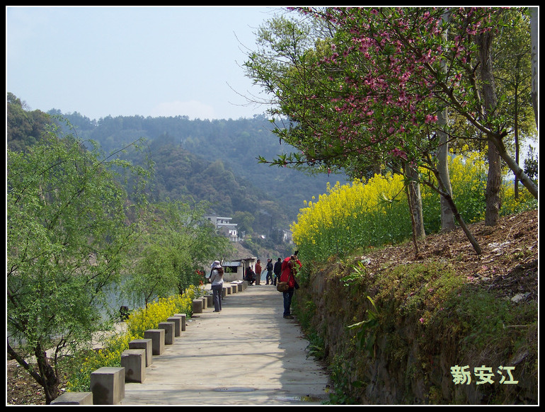 20110404h̶Ŵ (11).jpg